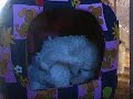 dome?ek 3.MP4