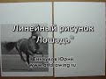 linehorse.wmv