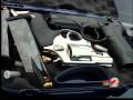 U.S. Marshals roundup fugitives