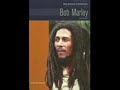 Badman Records- This is Why I'm Hot Riddim