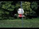 hummers hummers