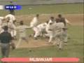 Minor League Baseball Fight