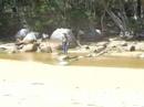 Lance crossing Sealers creek
