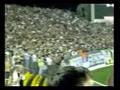PFC - Fenerbahce 19.08.08. by Grobari Becej Chants Mix