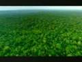 Caos no Clima | Aumento de temperatura na Amazonia