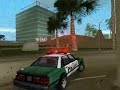 Police Persuit
