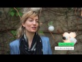 Click here to watch this video Rossana Orlandi - Salone del Mobile 2012