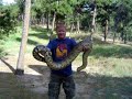 Big Boa Big Boa