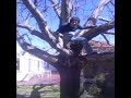 G�rgaras