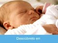En el vientre materno - 7/11