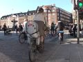 Copenhague quiere ser la primera ciudad con emisiones cero