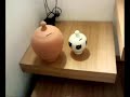 Guarda che coppia. Giù il cappello Guarda che coppia. Giù il cappello