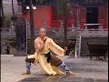 Shaolin Tai Zu Chang Quan