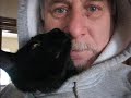 Harley, Papa\