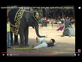 ELEPHANTS GOT TALENT, PATTAYA, THAILAND