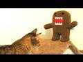Mean Kitty VS Domo-Kun 8.27.09