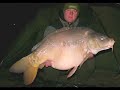 Carp Fishing Poland 2008