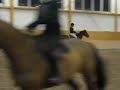Samira