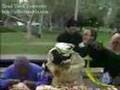 Mad-tv-Oprah-s-Jacka