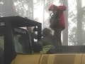 Loggers endanger activist lives - Weld Valley