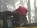 Loggers endanger activist lives - Weld Valley