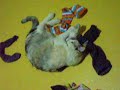 mia and my dirty socks mia and my dirty socks
