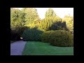 قصيدة مبتعث في بريطانيـا.mpg