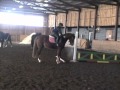 Wiltoona with Teele and Kiku