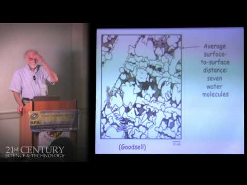 The Fourth Phase of Water - Professor Gerald Pollack