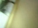 Thumbnail #1