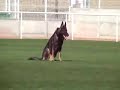 trabajo de disciplina en la copa de espa�a 2007