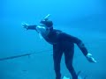 jaula do dop   freediving   azores horta