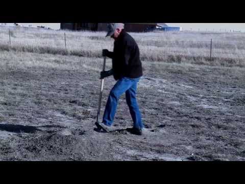 how to belt transect