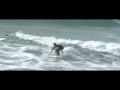 videos Surf