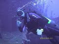 Corveta V17