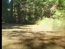Redwood Regional Park