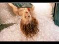 Sarah Michelle Gellar Slideshow