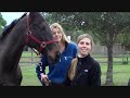TROT.wmv