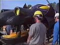 Fantasmic - Behind the Scenes