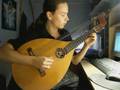 Swedish Lute