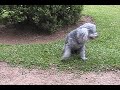 miranda-july-and-richard-at-the-park.html