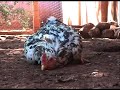 O relacionamento entre a mÃdia e sua audiência