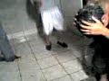 chory y su bautizo por chute