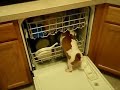 How your dishwasher REALY work