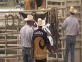 Bull Riding from the 2008 AJRA Finals