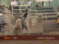 Bull Riding from the 2008 AJRA Finals