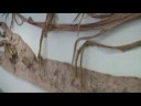 'Sin remedio' 2 Arte y espacio conjugados