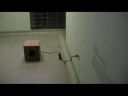 'Sin remedio' 2 Arte y espacio conjugados