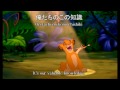 Hakuna Matata(ハクナ・マタタ)