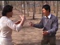 Cui Fushan, Tuishou at the park, part 1
